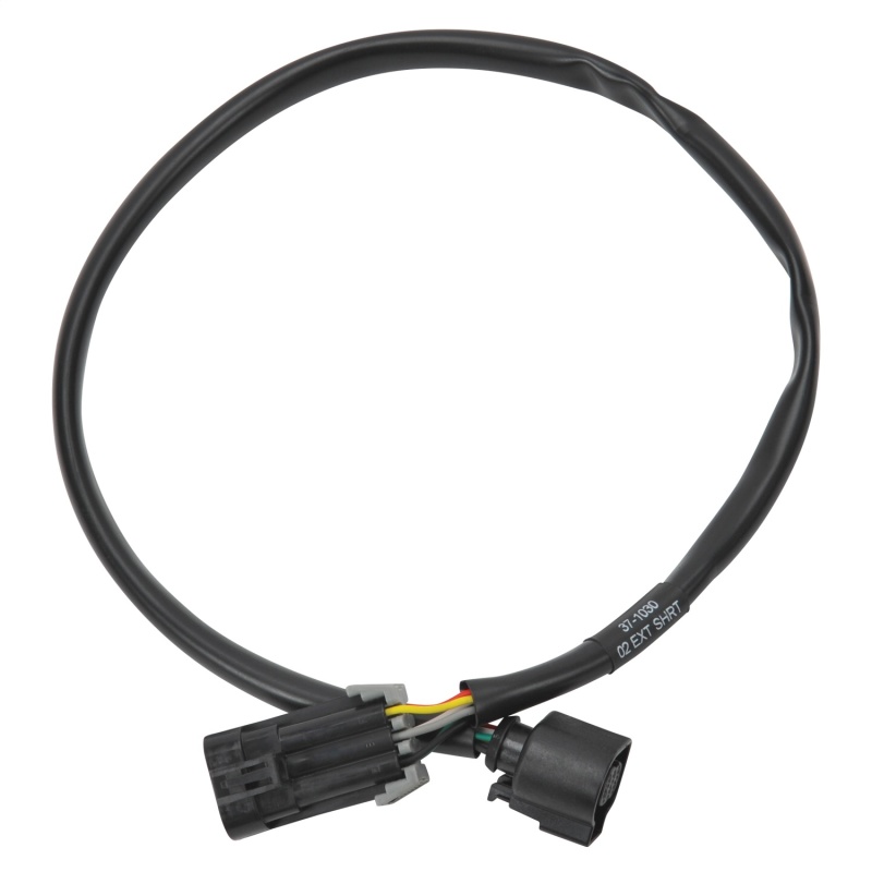 EDE Wiring Harness