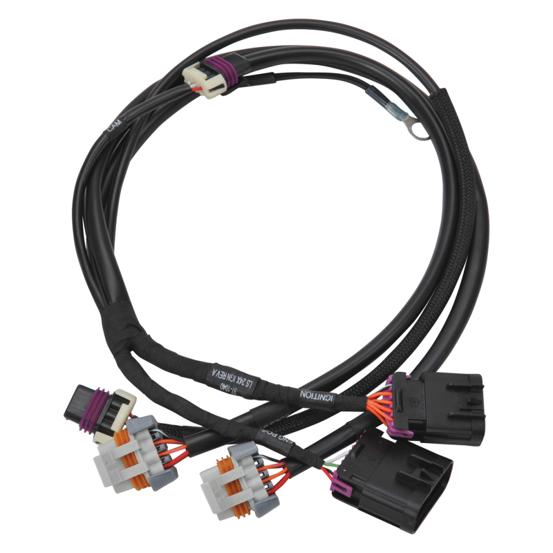 EDE Wiring Harness