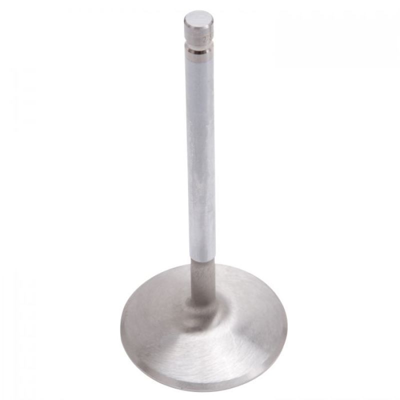 EDE Intake Valves