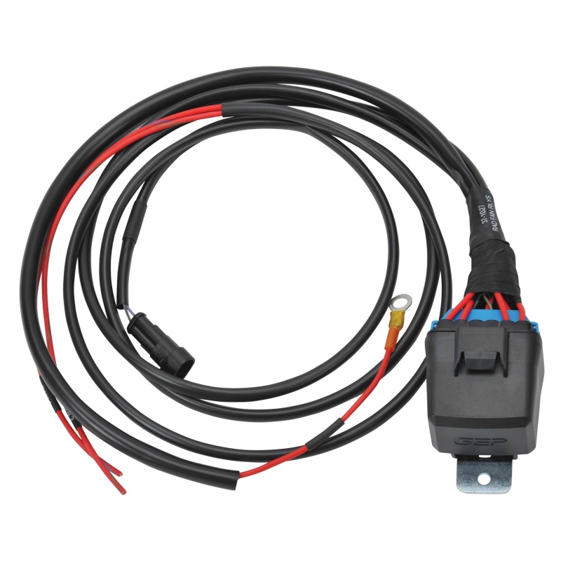 EDE Wiring Harness