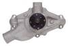 EDE Water Pump