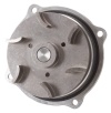 EDE Water Pump